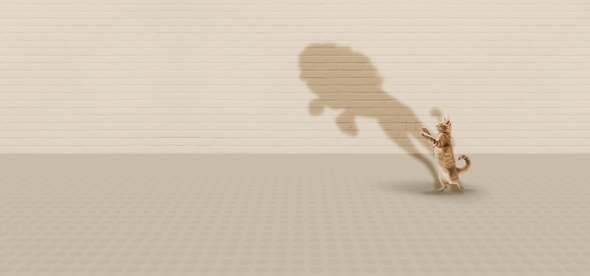 Brand growth concept with a strong shadow